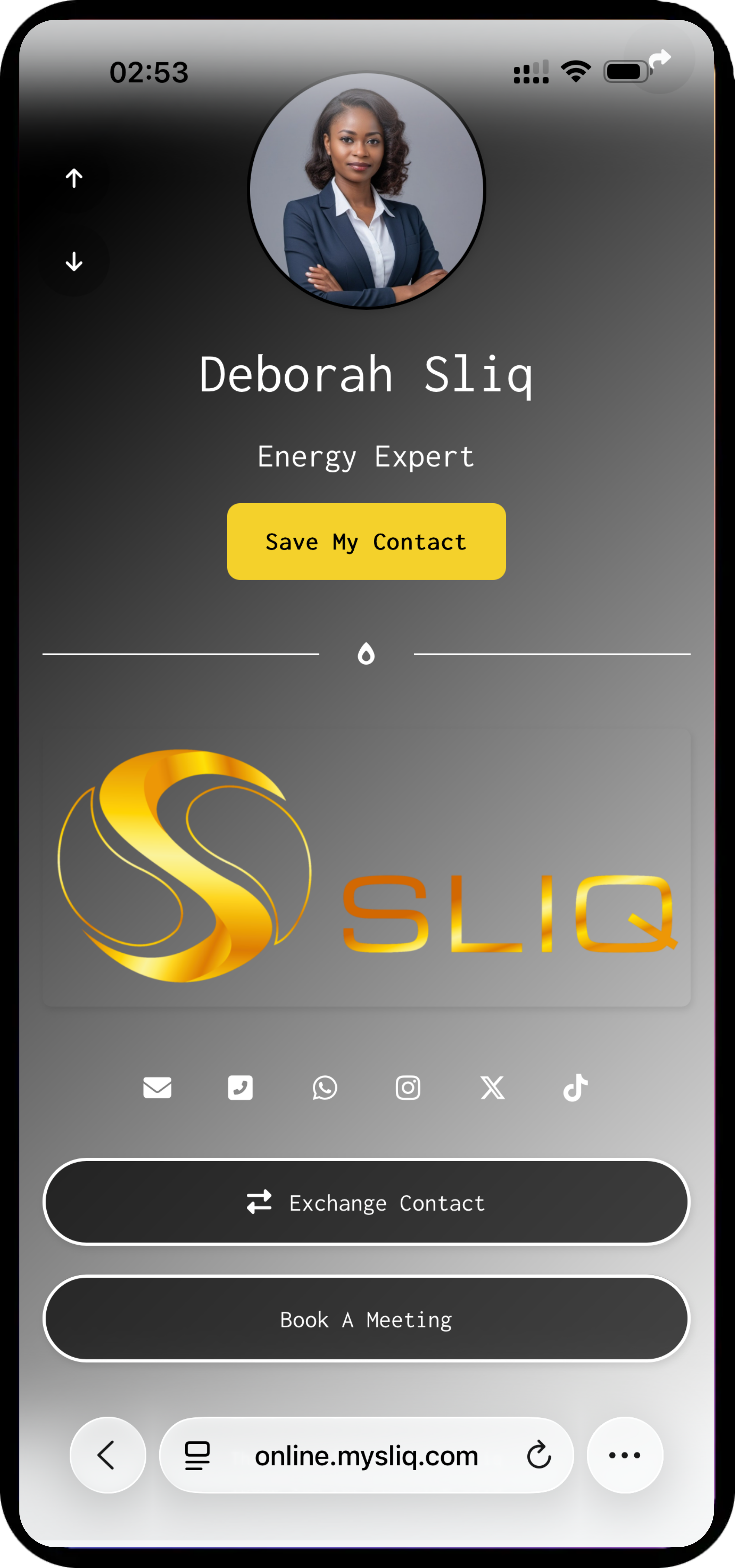Screenshot of Sliq page examples